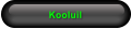 Kooluil