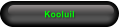 Kooluil