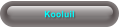 Kooluil