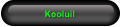 Kooluil